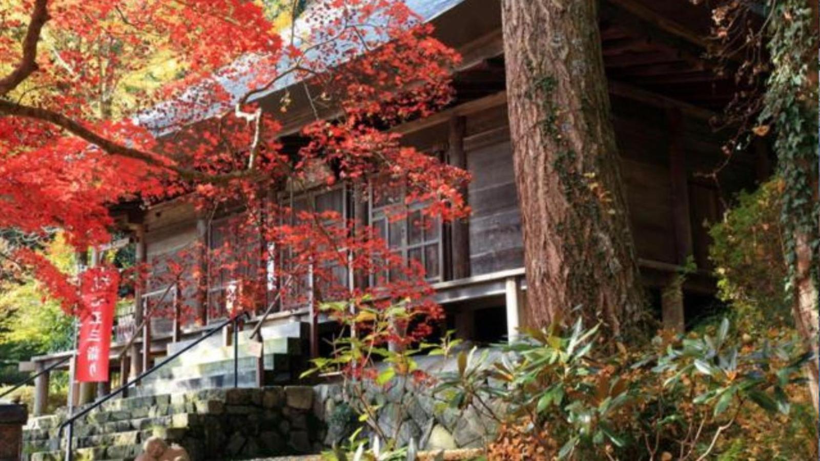 นิปโปเนีย ซาซายามะ คาสเซิล ทาวน์ โฮเต็ล Hotel Tamba-Sasayama ภายนอก รูปภาพ