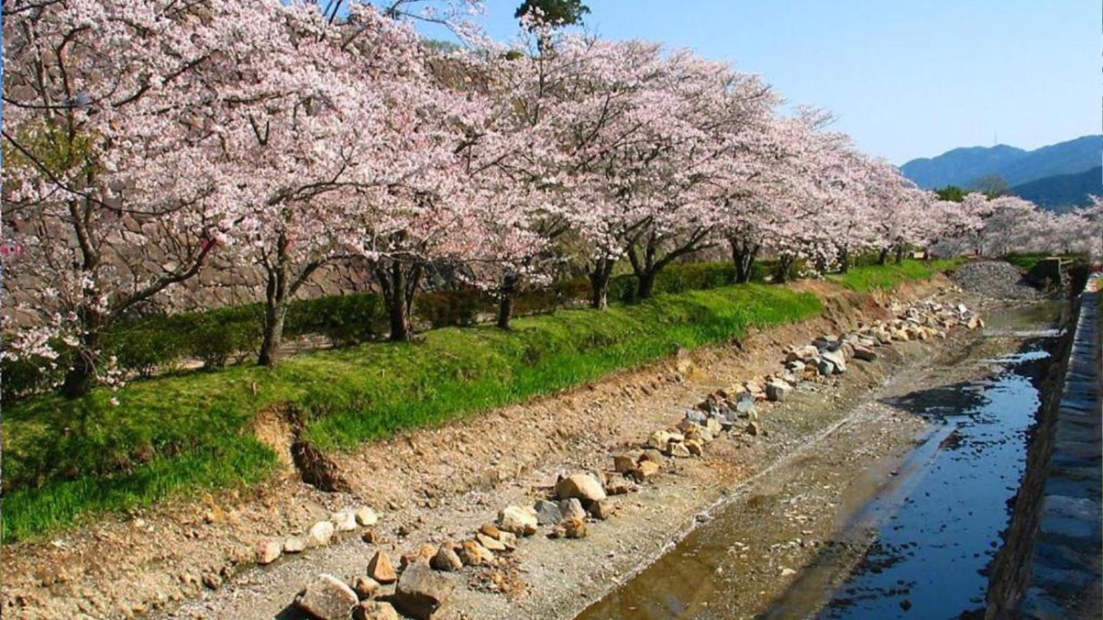 นิปโปเนีย ซาซายามะ คาสเซิล ทาวน์ โฮเต็ล Hotel Tamba-Sasayama ภายนอก รูปภาพ